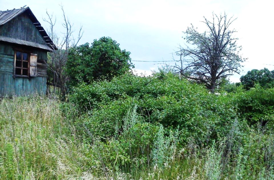 ��� ������� ����� ����������� ������� �������