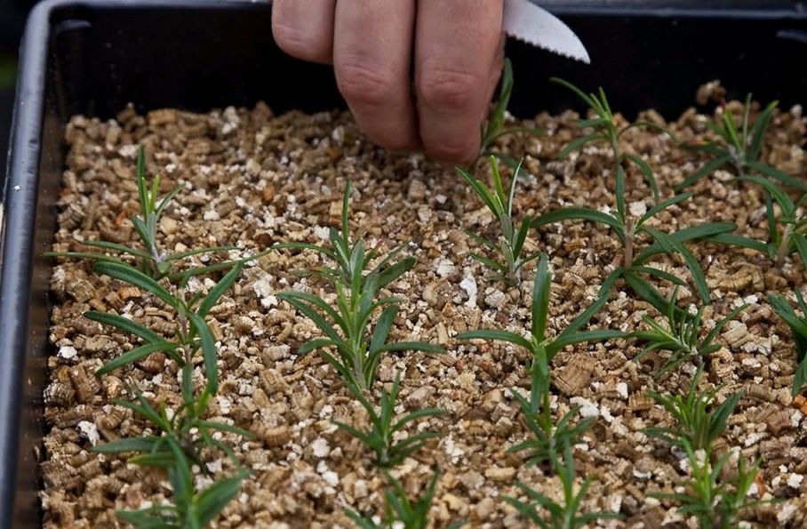 ����������: ������ � ����������� ��� ���������� ������