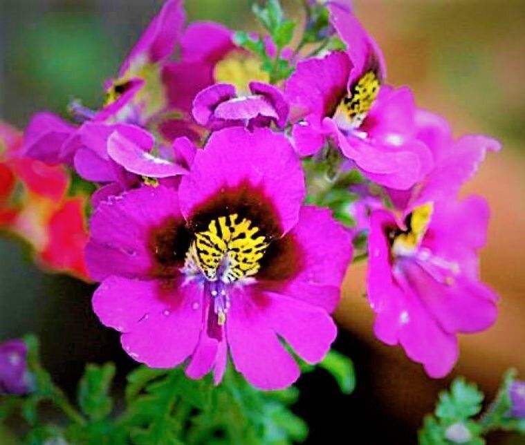 ���������: ���������� ������������ �������� ��� ������ ����