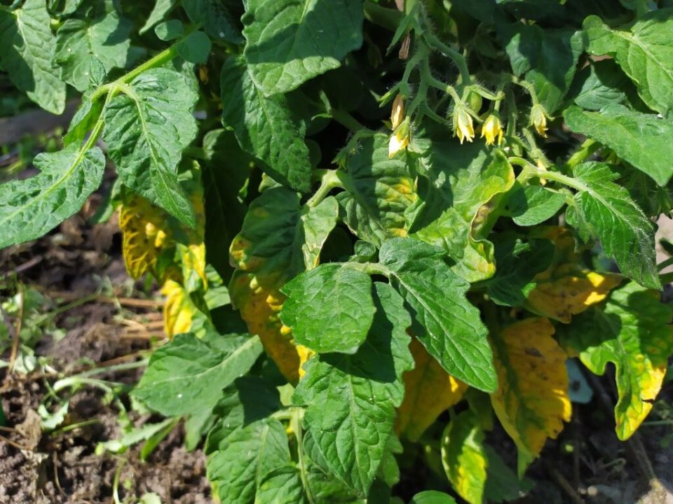 ��� ��������� �������: �������� ��������� � ������ ������ � ����