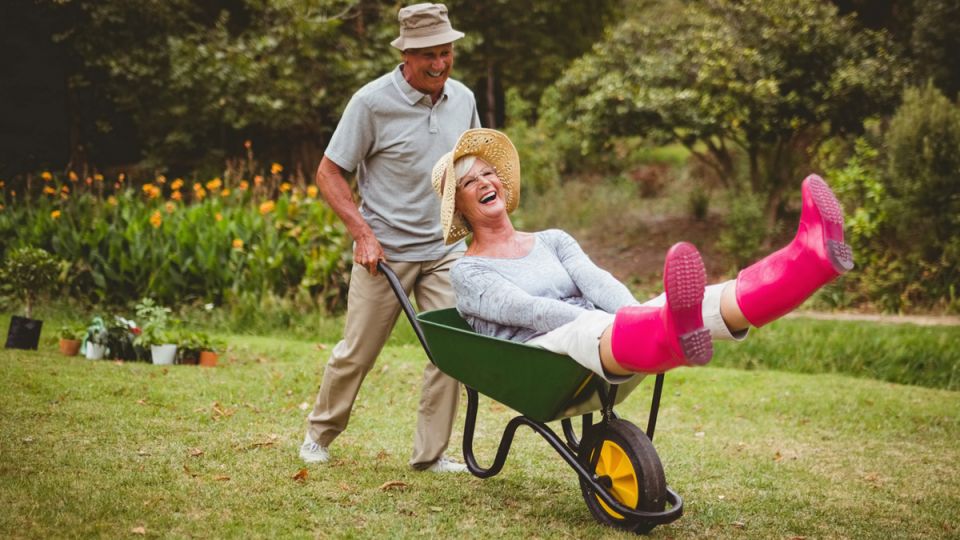 ������� ���������� ��������� ������ ��� �����������-��������