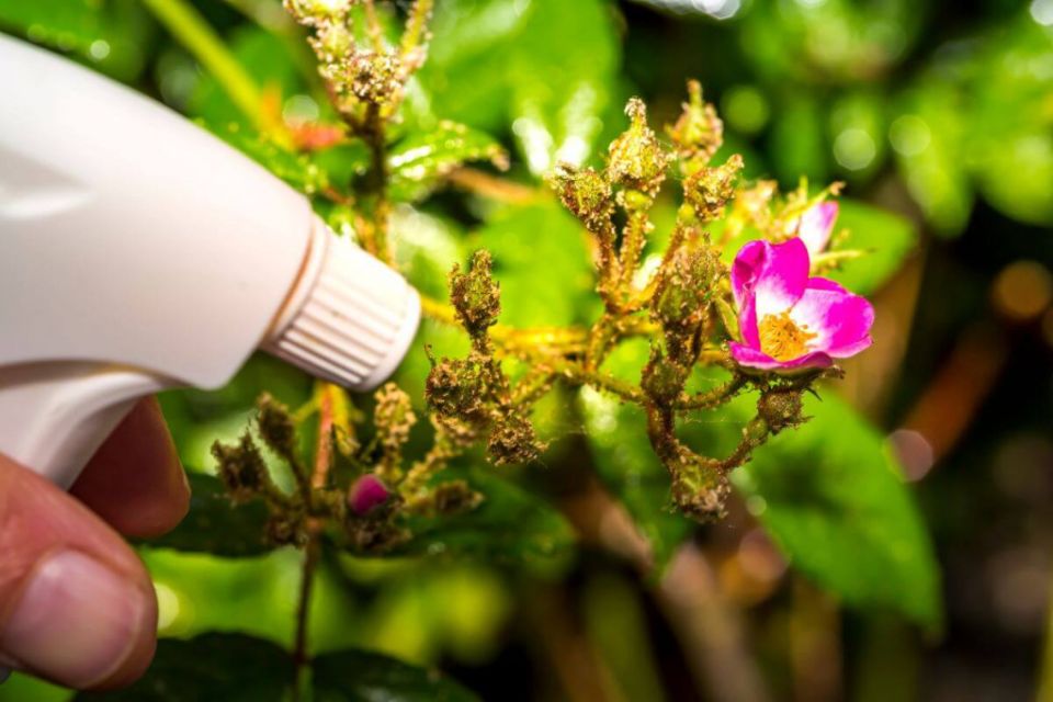 ���� ���������� � ������� ������: ������� ������ �� �������� � ����������