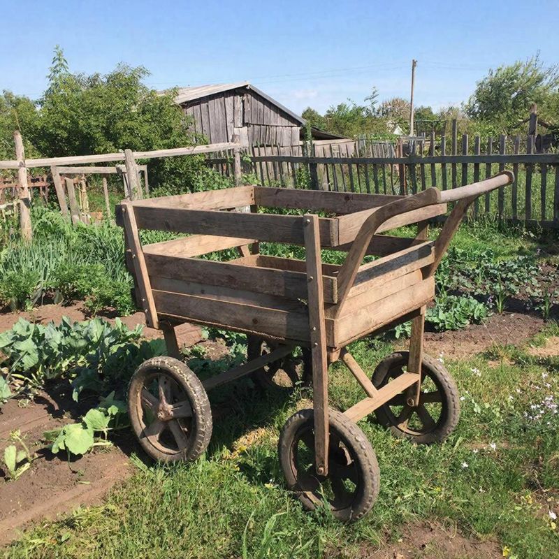 ��� ������� ����� ������ �������: ���������� ������ � �������� ������ �������