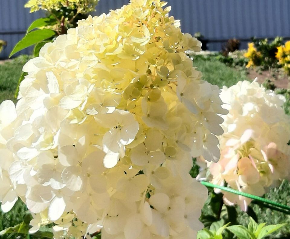 ���������: �������� ������� ��� ����� �����