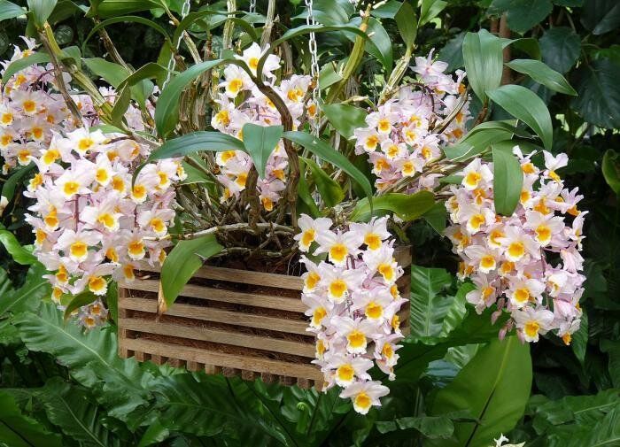 ��������� �������� ��� �������� �������