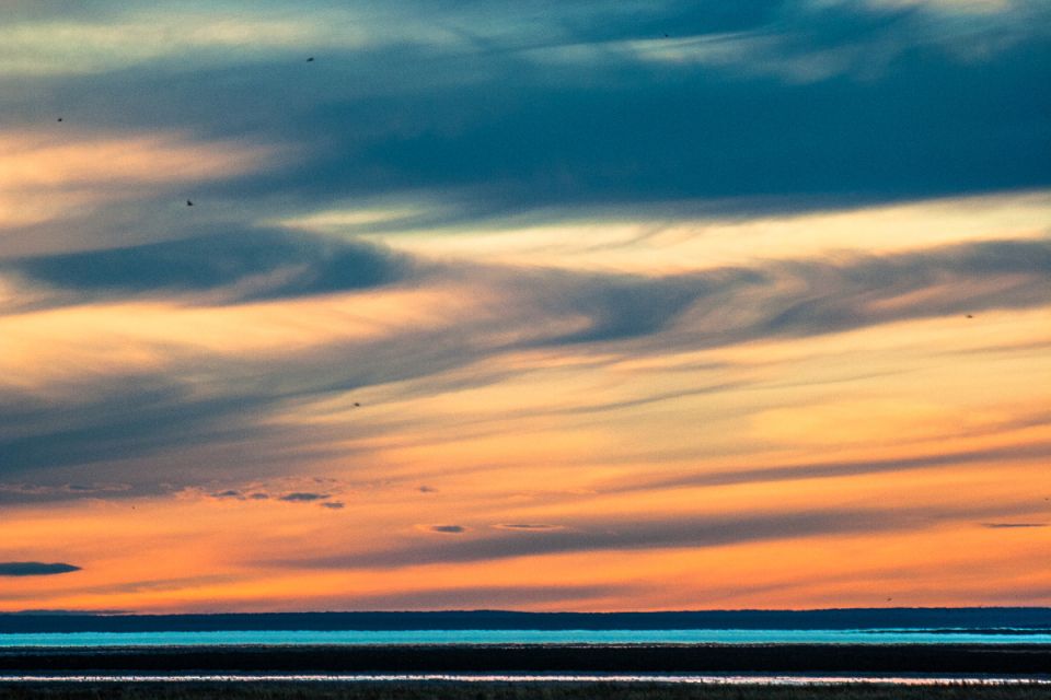 Опасные изменения в законодательстве Российской Федерации: законопроект угрожает заповедникам