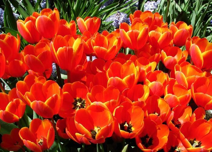 ���������: ���������� ������, ������� ������� ��� ���