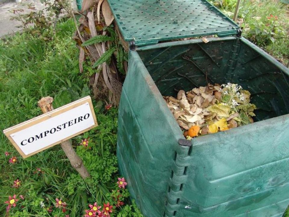 Как сохранить компостную яму в безопасности: простые советы против грызунов