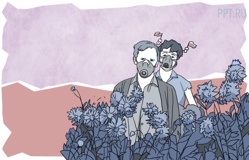 Сорняк, угрожающий вашему участку: что нужно знать дачникам