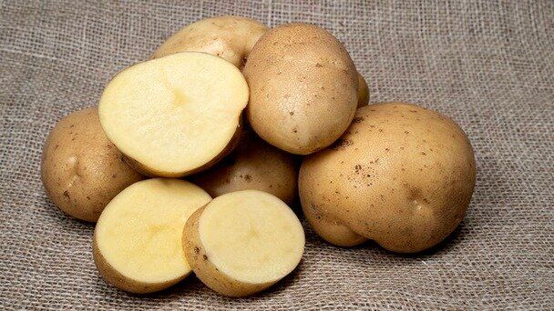 10 �������� ������: ������ �� ���������������� ��������, ������� ������ ������ �������