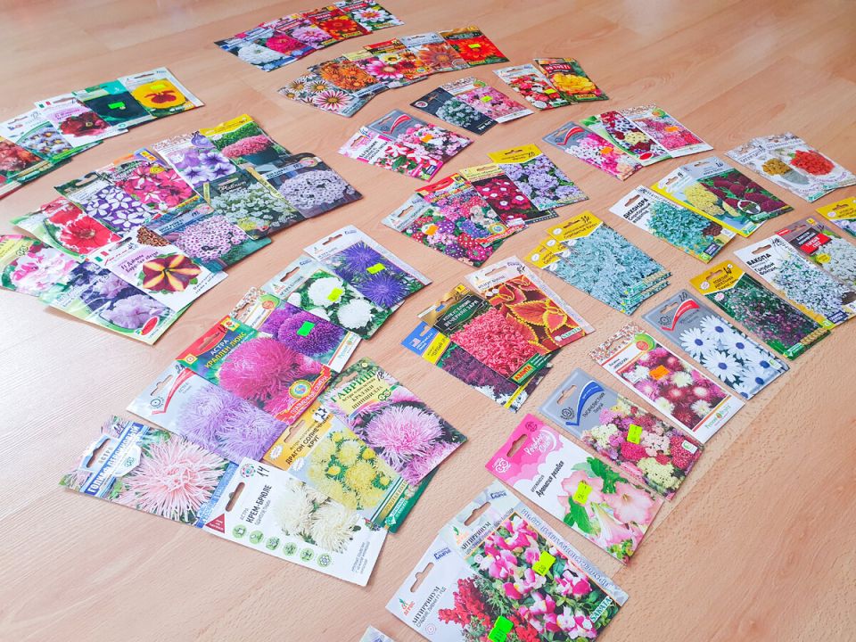 Мамина весна: какие цветы заполнили сад в 2026 году