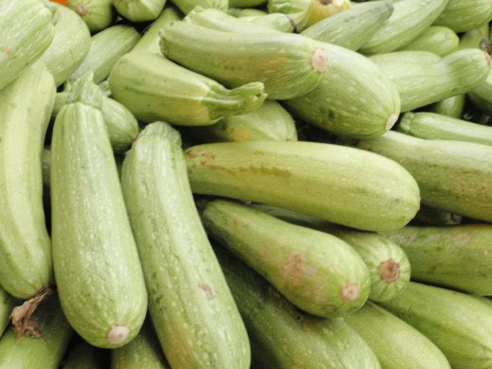 ��� ��������� ���������� ������� ��� ���������: ������� ��������� �������������