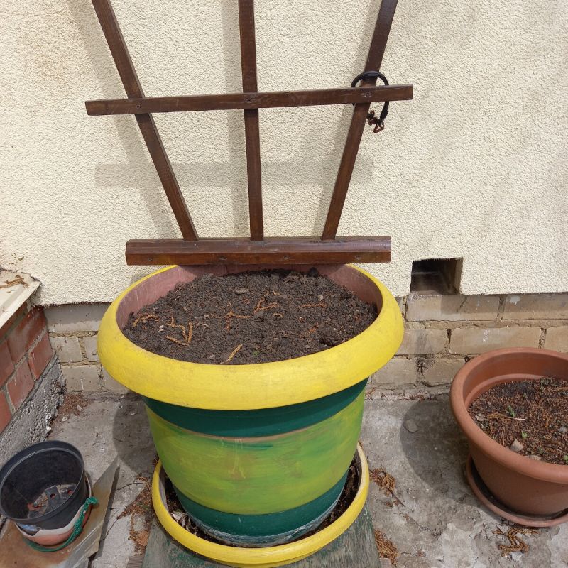 Биолог объяснила, почему традиционное вымораживание грунта для рассады может оказаться неэффективным