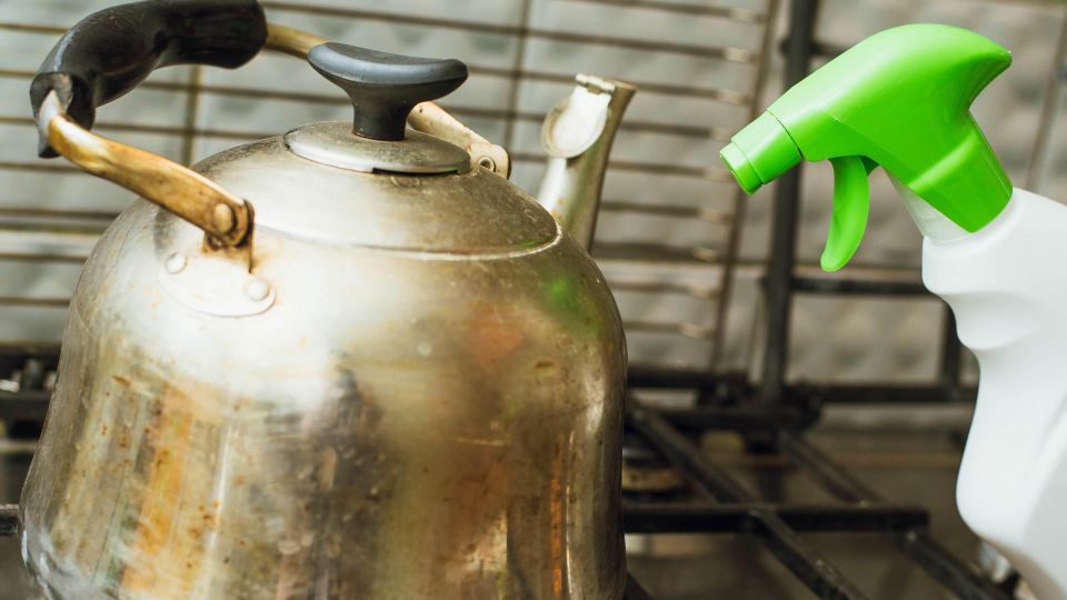 ��� ������� �������� �������� ������ �� ������ � ��� �����: ���� ����������� ��������