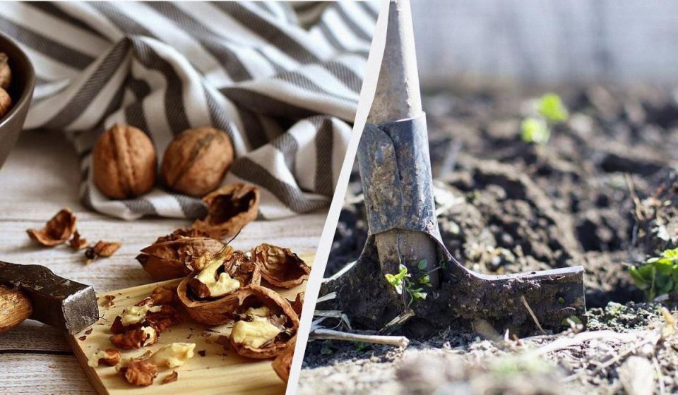 �������� �������� �����: ����������� �������� ��� ���������