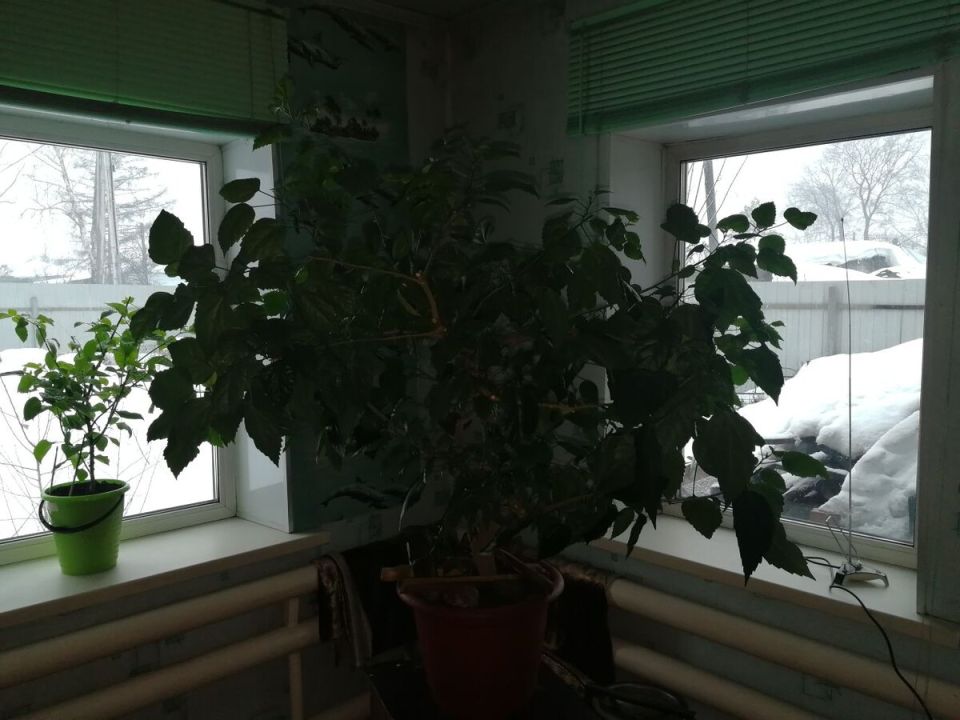 ���������� �������� ������: ����� �������� �������� ������ ���������?