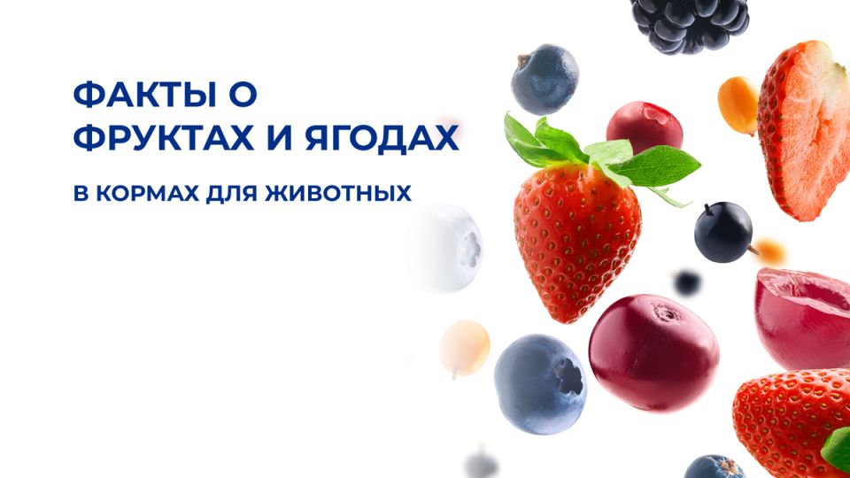 ������ � ����� � ������ ��� ��������