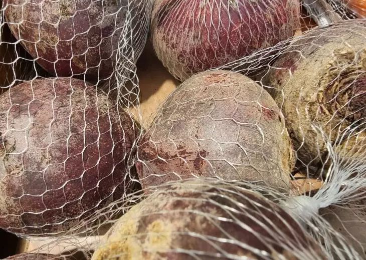 5 ��������� ������ ���� ������: ����� �� ���������, ����� �������� ��������