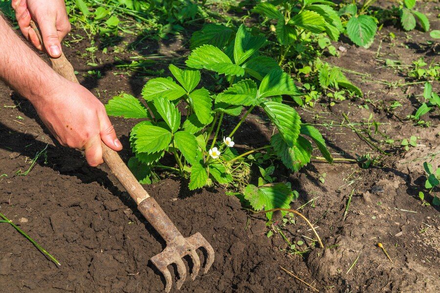 ����������� ����� ��� ���������� ������: ������� �����������