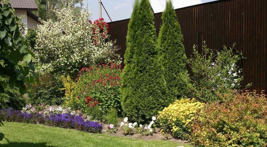 ��� ����������� ����� ����� �������� ��� ��� ��� ������ ������