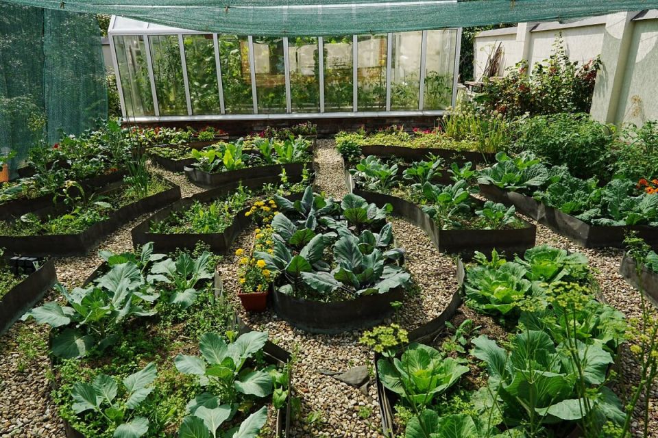 ��� ��������� ����������� ������: ������ �� ������� ��������