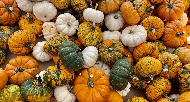 ��� ������� �����: ������ ��� ��������� � ��������