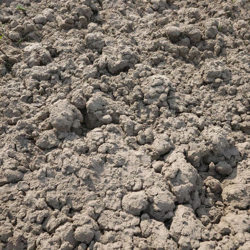 ��������: ����� �������������� ��������� ����� � �������� ����������