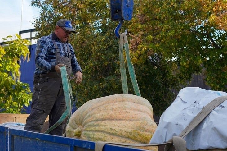 ��� ���������� ����� ������������ � ������� snapshot ����� � ������