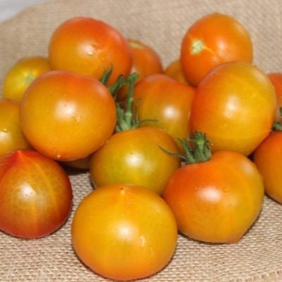 ����������� ������ ����������: ������ ����� � ������?������� �������� ������