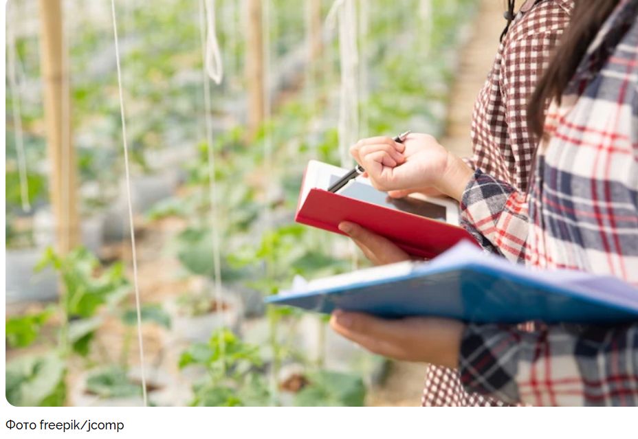 ������������ ������� �� ��������� �����: ������ ������ �� ���������� � ������������� �������