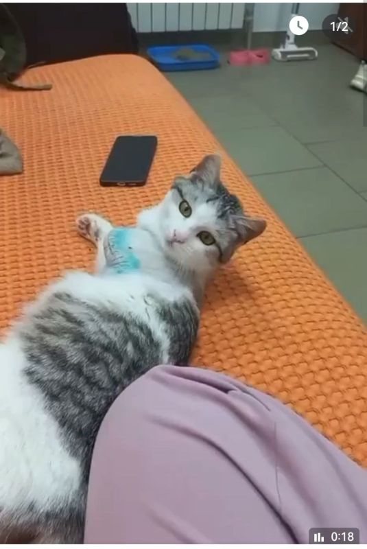  :  ,     