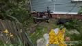 #_.   ,   19  00   .  .   , 17- ,     5,     , ...