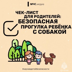 -  :     
