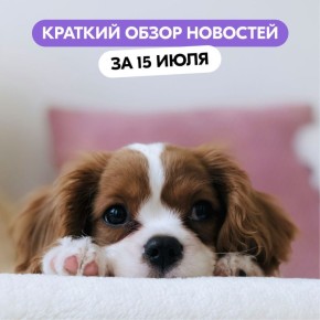  ,       ,        ?