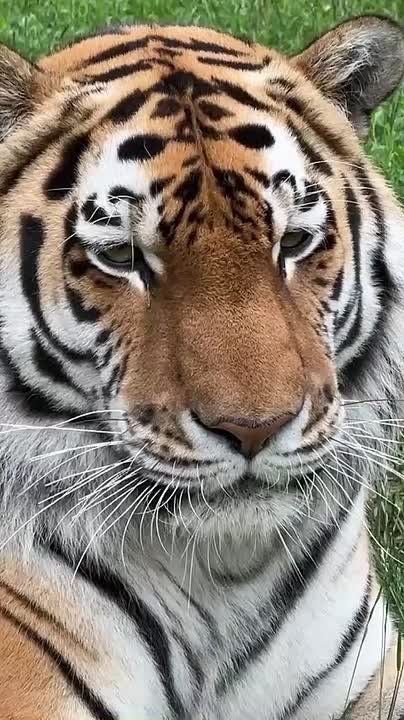  2 .     