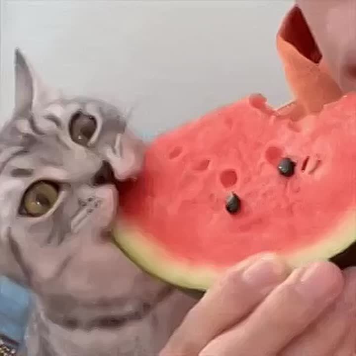   !         