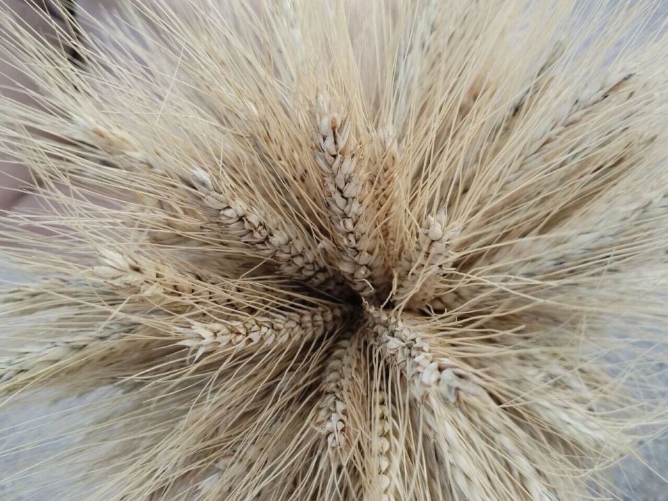             !