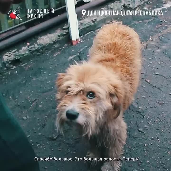   -   ,   