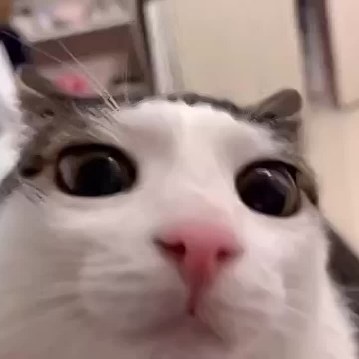   ! 8     