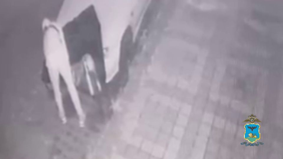  ,    ,   
