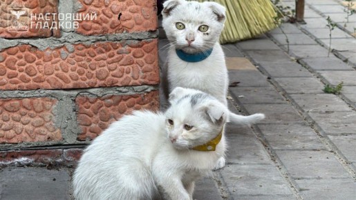 15    10  