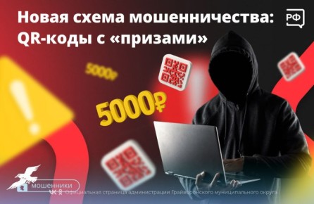 QR-   !  5000   !     ,     