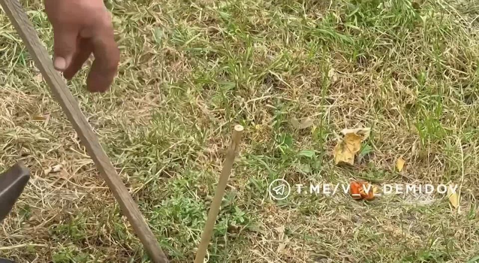  :          