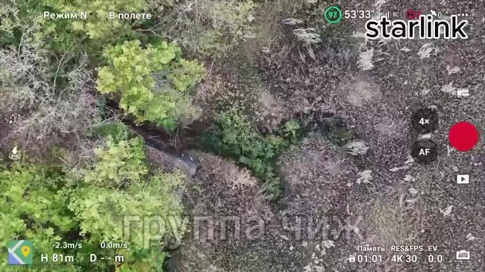  :     :   