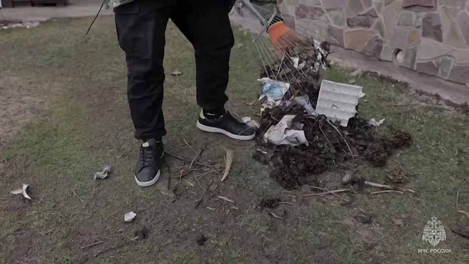   :     