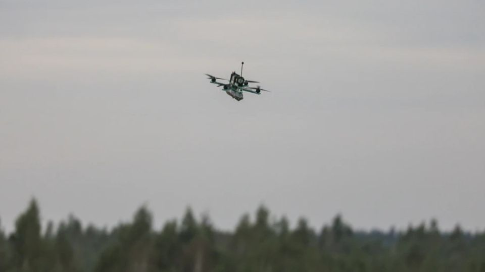      81     