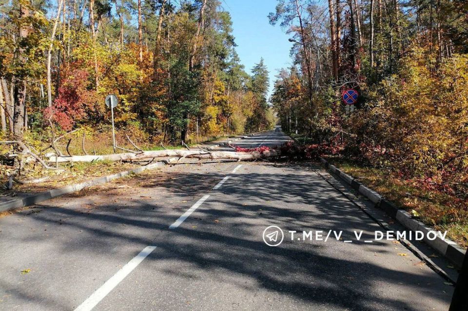 Валентин Демидов рассказал о работе коммунальных служб по устранению последствий сильного ветра в Белгороде