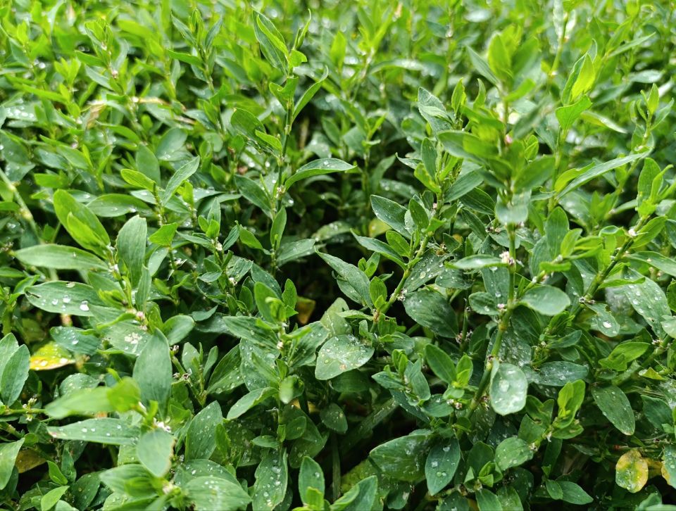 Удивительная и живописная природа, которая нашла отражение в фотографиях краснояружцев