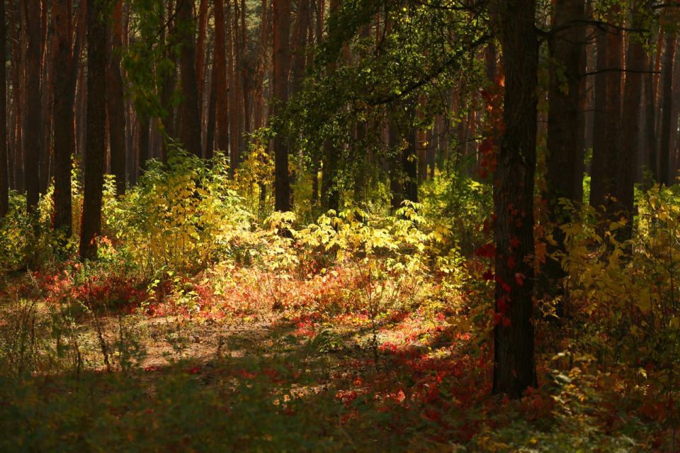С добрым утром понедельника!