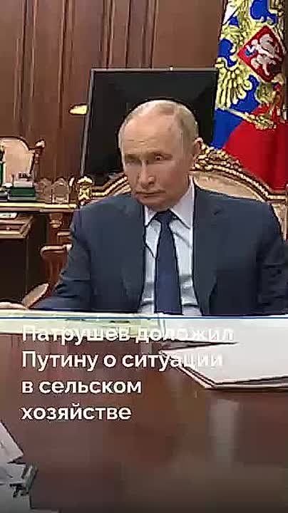   ,    :